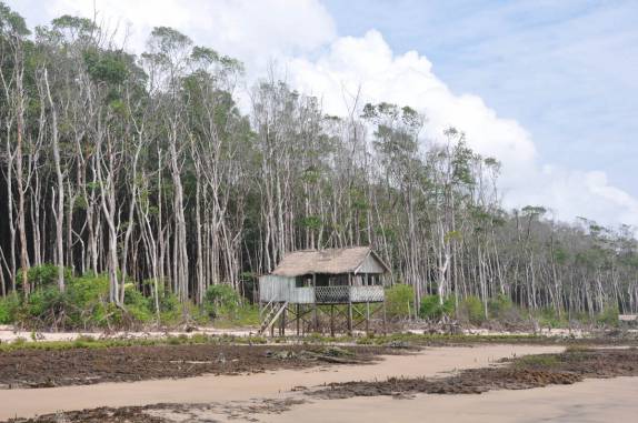 Casa de pescador na praia de Araruna, na Ilha de Marajó - PA